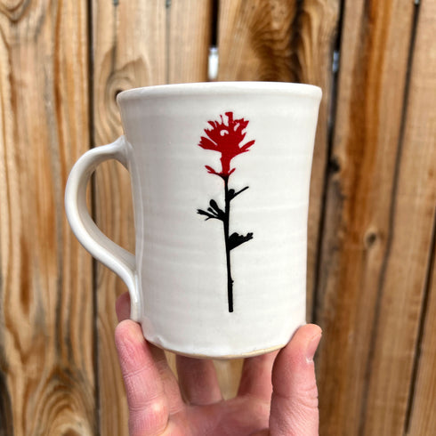 Bright White Indian Paintbrush