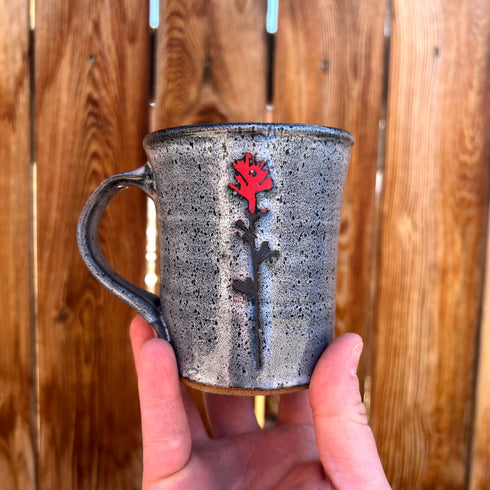 Black Indian Paintbrush