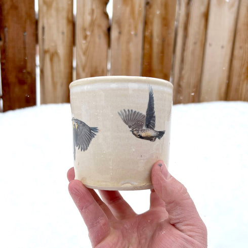 Meadowlark in Flight