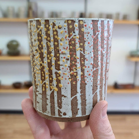 Aspen Grove Season's